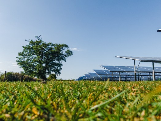 solar farm