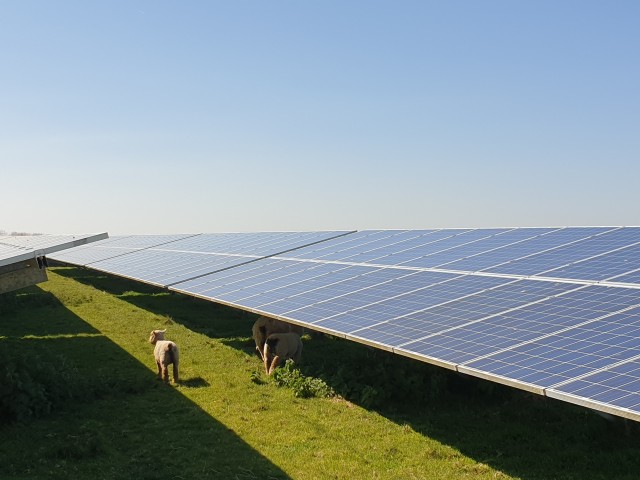 Solar Farm