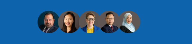 Meet the Team